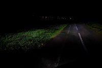 1156244761_2019-11-0916_57_06.jpg.3befd021107a4e0555b81305e1939d0c